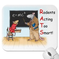 Smart Rat Mouse pad